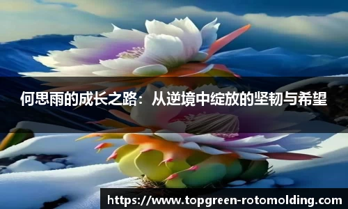 欧陆在线登录