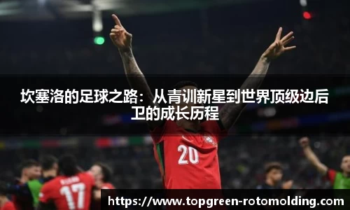 坎塞洛的足球之路：从青训新星到世界顶级边后卫的成长历程