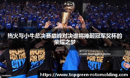热火与小牛总决赛巅峰对决谁将捧起冠军奖杯的荣耀之梦